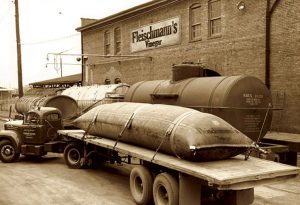Fleischmann's History